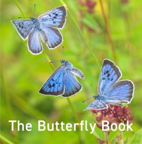 The Butterfly Book: 16 (Nature Book Series) - Jane Russ [KSIĄŻKA]
