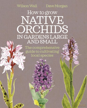 How to Grow Native Orchids in Gardens Large and Small: The comprehensive guide to cultivating local species - Wilson Wall [KSIĄŻKA]