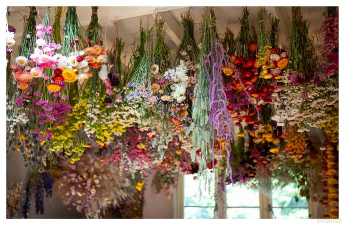 Everlasting Blooms: 25+ floristry projects to bring the magic of dried flowers into your home - Layla Robinson [KSIĄŻKA]