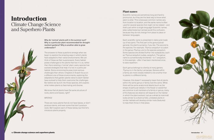 RHS What to Grow for a Climate Resilient Garden: Practical advice for gardeners on plants that can cope in all climates - Dr Amanda Rasmussen [KSIĄŻKA]