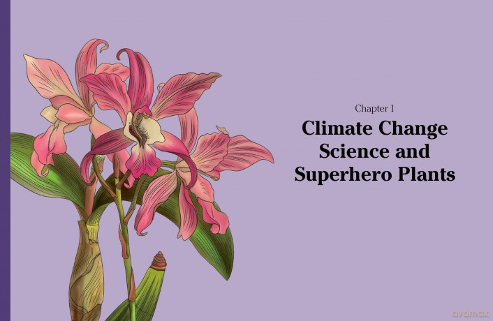RHS What to Grow for a Climate Resilient Garden: Practical advice for gardeners on plants that can cope in all climates - Dr Amanda Rasmussen [KSIĄŻKA]