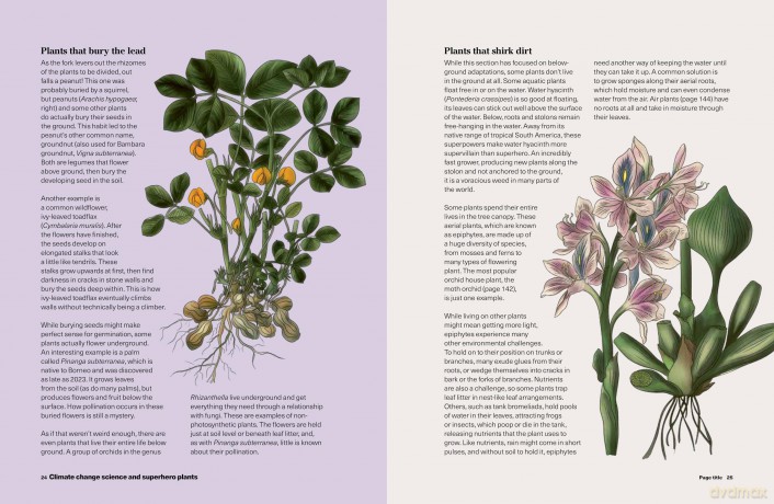 RHS What to Grow for a Climate Resilient Garden: Practical advice for gardeners on plants that can cope in all climates - Dr Amanda Rasmussen [KSIĄŻKA]