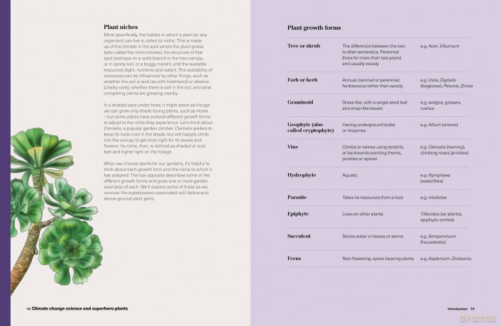 RHS What to Grow for a Climate Resilient Garden: Practical advice for gardeners on plants that can cope in all climates - Dr Amanda Rasmussen [KSIĄŻKA]
