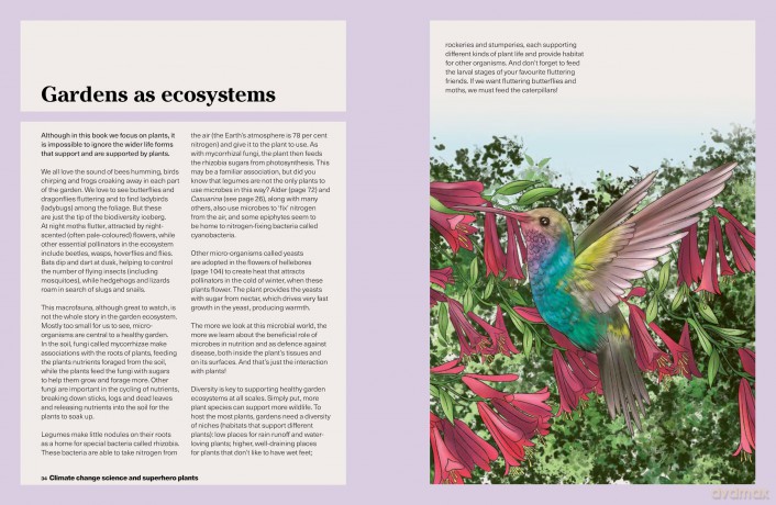 RHS What to Grow for a Climate Resilient Garden: Practical advice for gardeners on plants that can cope in all climates - Dr Amanda Rasmussen [KSIĄŻKA]