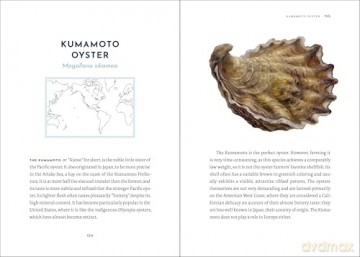 Portrait of an Oyster: A Natural History of an Epicurean Delight - Andreas Ammer [KSIĄŻKA]