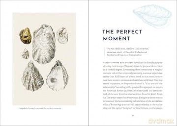 Portrait of an Oyster: A Natural History of an Epicurean Delight - Andreas Ammer [KSIĄŻKA]