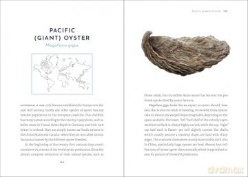 Portrait of an Oyster: A Natural History of an Epicurean Delight - Andreas Ammer [KSIĄŻKA]