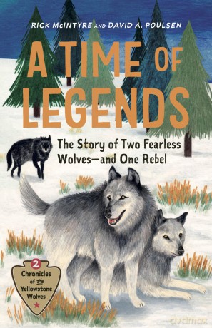 A Time of Legends: The Story of Two Fearless Wolves-and One Rebel (Chronicles of the Yellowstone Wolves) - Rick McIntyre [KSIĄŻKA]