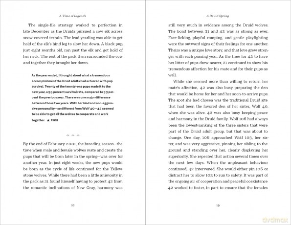 A Time of Legends: The Story of Two Fearless Wolves-and One Rebel (Chronicles of the Yellowstone Wolves) - Rick McIntyre [KSIĄŻKA]
