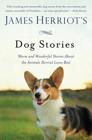 James Herriot's Dog Stories: Warm and Wonderful Stories about the Animals Herriot Loves Best - James Herriot [KSIĄŻKA]