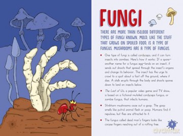 Untamed Grossology: Icky Things in the Great Outdoors - Sylvia Branzei [KSIĄŻKA]