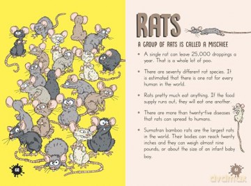 Untamed Grossology: Icky Things in the Great Outdoors - Sylvia Branzei [KSIĄŻKA]