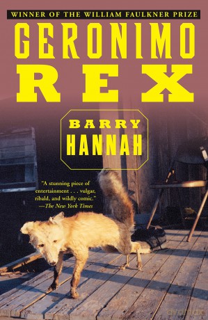Geronimo Rex - Barry Hannah [KSIĄŻKA]