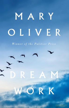 Dream Work - Mary Oliver [KSIĄŻKA]
