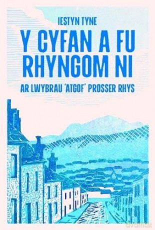 Y Cyfan a fu Rhyngom Ni - ar lwybrau 'Atgof' Prosser Rhys: ar lwybrau 'Atgof' Prosser Rhys - Iestyn Tyne [KSIĄŻKA]