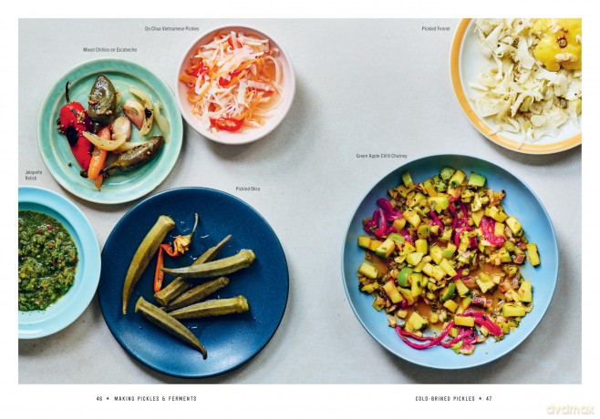 The Pickle Jar: Recipes for Making and Using Pickles and Ferments from the Award-Winning Brand Vadasz - Nick Vadasz [KSIĄŻKA]