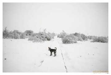 Sidelines: John Vink - John Vink [KSIĄŻKA]