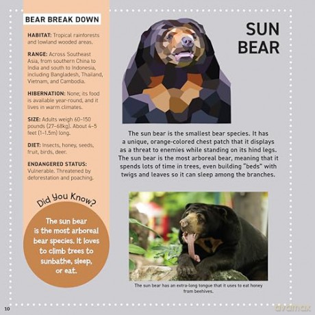 My Sticker Paintings: Bears: 10 Majestic Works of Art - Logan Powell [KSIĄŻKA]