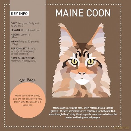 My Sticker Paintings: Cats: 10 Amazing Felines - Logan Powell [KSIĄŻKA]