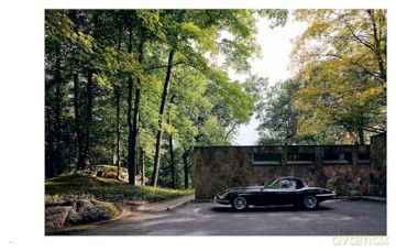 Art in Residence: Collected Objects and the Architectural Homes They Live In - Nicole England [KSIĄŻKA]