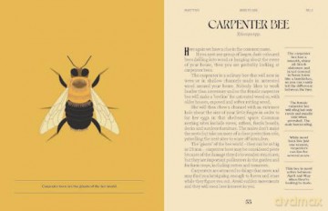 Bees (A Guide For the Curious) - Susan E. Clark [KSIĄŻKA]