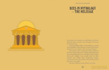 Bees (A Guide For the Curious) - Susan E. Clark [KSIĄŻKA]