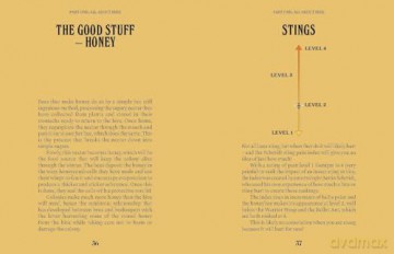 Bees (A Guide For the Curious) - Susan E. Clark [KSIĄŻKA]