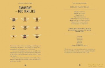 Bees (A Guide For the Curious) - Susan E. Clark [KSIĄŻKA]