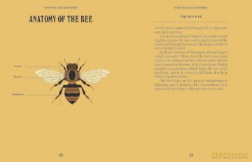 Bees (A Guide For the Curious) - Susan E. Clark [KSIĄŻKA]
