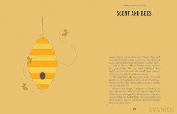 Bees (A Guide For the Curious) - Susan E. Clark [KSIĄŻKA]