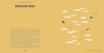 Bees (A Guide For the Curious) - Susan E. Clark [KSIĄŻKA]