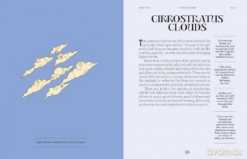 Clouds (A Guide For the Curious) - Susan E. Clark [KSIĄŻKA]
