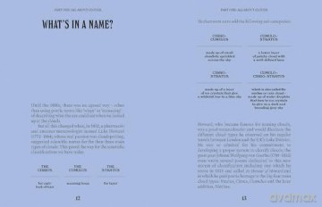 Clouds (A Guide For the Curious) - Susan E. Clark [KSIĄŻKA]