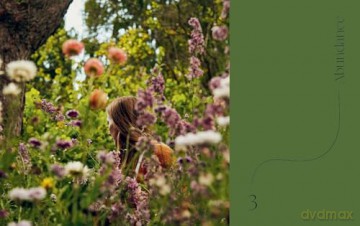 Crafting with Flowers: Celebrate the Seasons with 20 Floral Projects - Bex Partridge [KSIĄŻKA]
