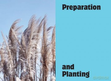 The Container Gardening Handbook: A Beginner's Guide to Growing Flowers in Pots - Isabelle Palmer [KSIĄŻKA]
