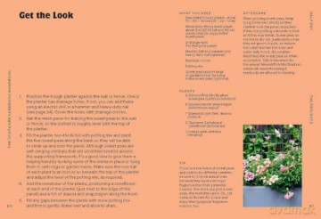 The Container Gardening Handbook: A Beginner's Guide to Growing Flowers in Pots - Isabelle Palmer [KSIĄŻKA]