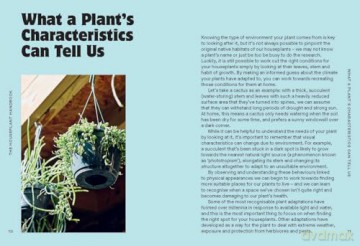 The Houseplant Handbook: A Beginner's Guide to Caring for Houseplants - Alice Bailey [KSIĄŻKA]