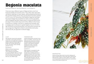 The Houseplant Handbook: A Beginner's Guide to Caring for Houseplants - Alice Bailey [KSIĄŻKA]