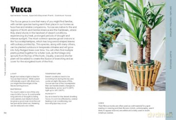 The Houseplant Handbook: A Beginner's Guide to Caring for Houseplants - Alice Bailey [KSIĄŻKA]