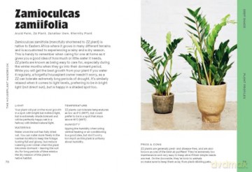 The Houseplant Handbook: A Beginner's Guide to Caring for Houseplants - Alice Bailey [KSIĄŻKA]
