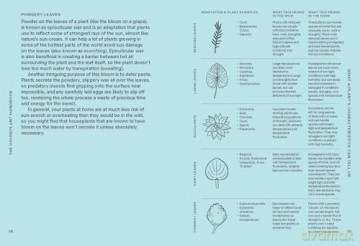 The Houseplant Handbook: A Beginner's Guide to Caring for Houseplants - Alice Bailey [KSIĄŻKA]