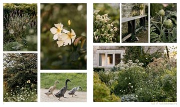 Wonderlands: British Garden Designers at Home - Clare Coulson [KSIĄŻKA]