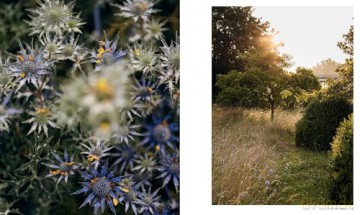 Wonderlands: British Garden Designers at Home - Clare Coulson [KSIĄŻKA]