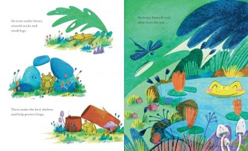 Frogs Are Our Friends (Our Friends in the Garden) - Toni D'Alia [KSIĄŻKA]