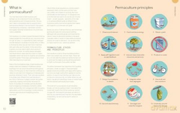 Everyday Permaculture: Sustainable Living For Every Space - Anna Matilda Gibbons [KSIĄŻKA]