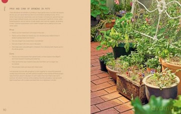 Everyday Permaculture: Sustainable Living For Every Space - Anna Matilda Gibbons [KSIĄŻKA]