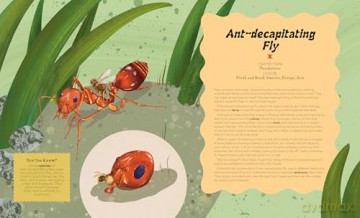 Mind-controlling Bugs - Aidan Doyle [KSIĄŻKA]