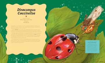 Mind-controlling Bugs - Aidan Doyle [KSIĄŻKA]