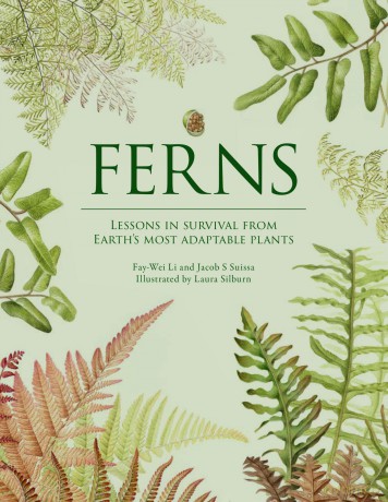 Ferns: Lessons in Survival From Earth's Most Adaptable Plants - Fay-Wei Li [KSIĄŻKA]