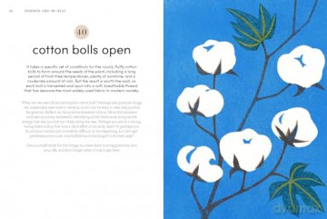 Microseasons: A Slow-Living Guide to the Year Following the Traditional Japanese Calendar - Tiffany Francis-Baker [KSIĄŻKA]